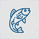 Pesca